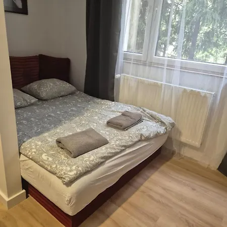 Leszczynki Apartment